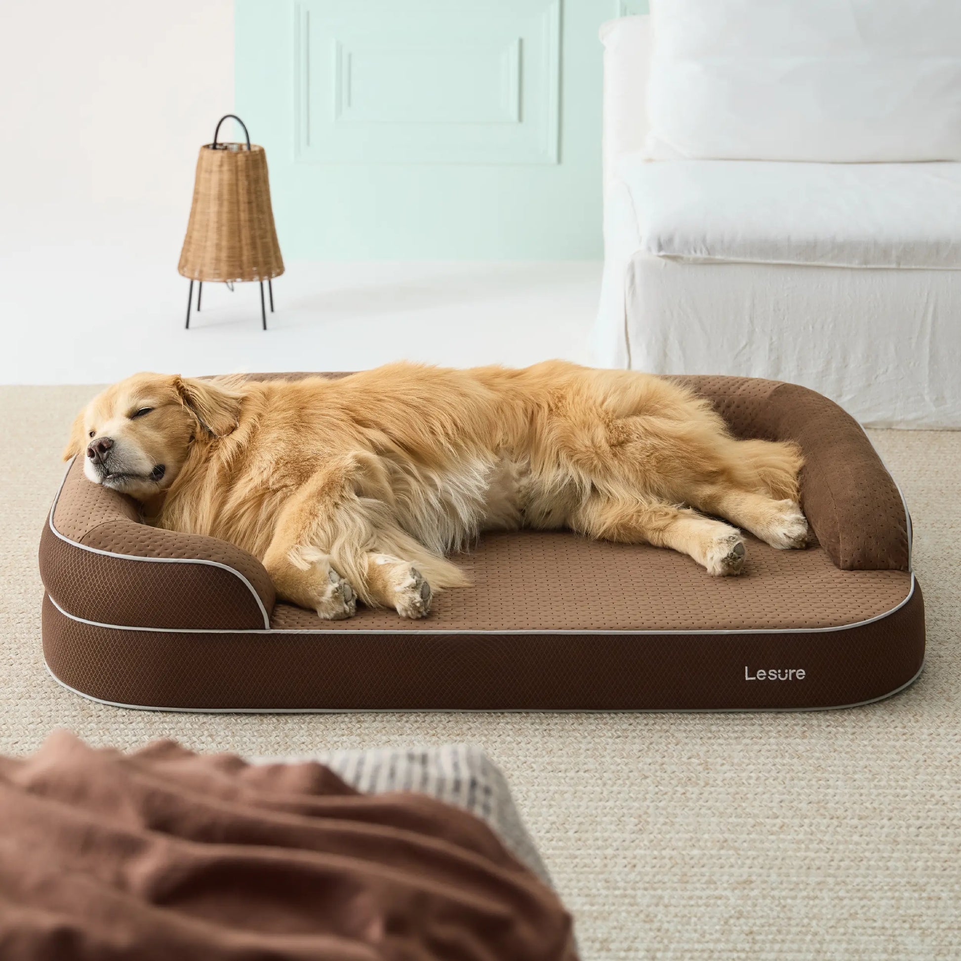 Orthopedic Memory Foam Bed for Large & Senior Dogs
