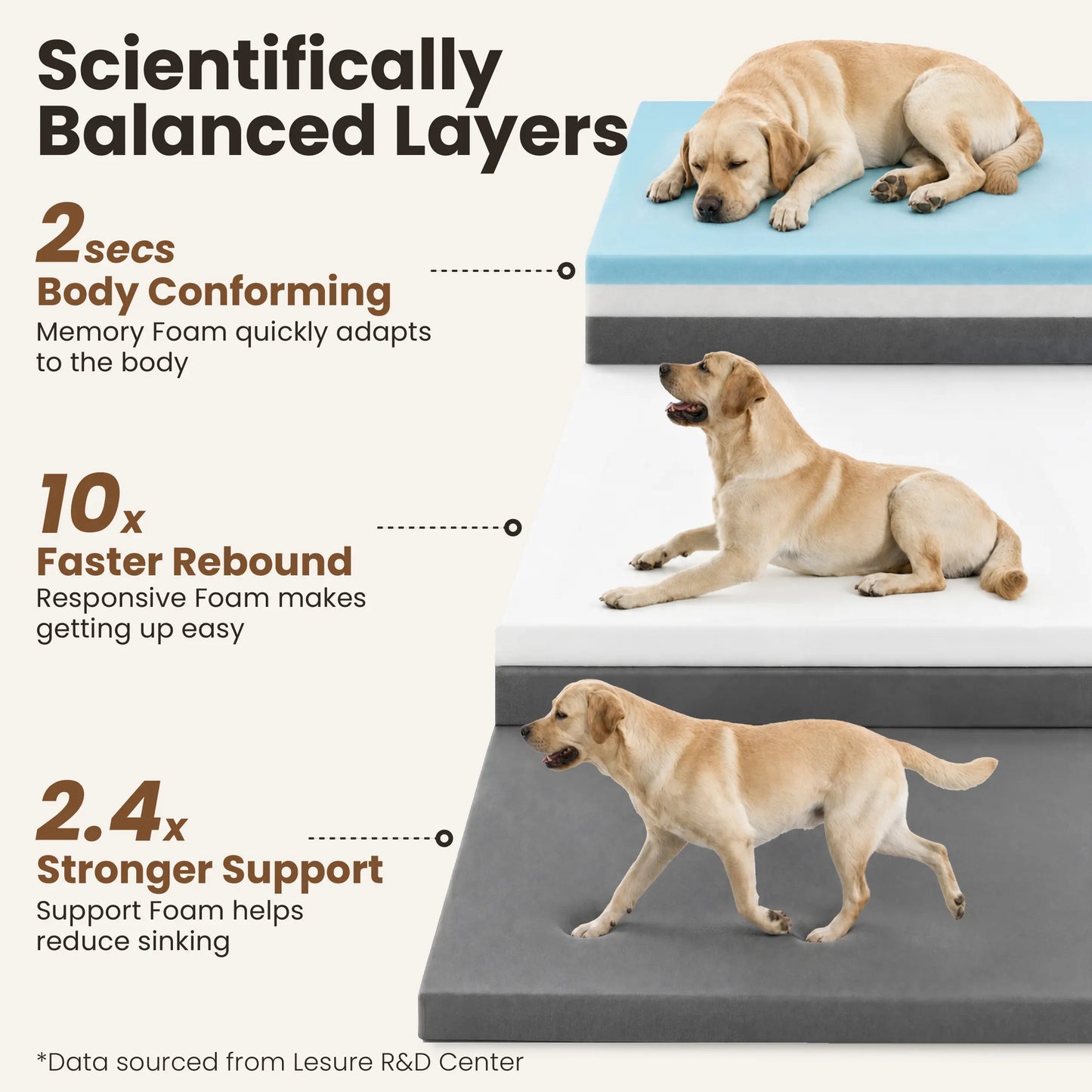Orthopedic Memory Foam Bed for Large & Senior Dogs