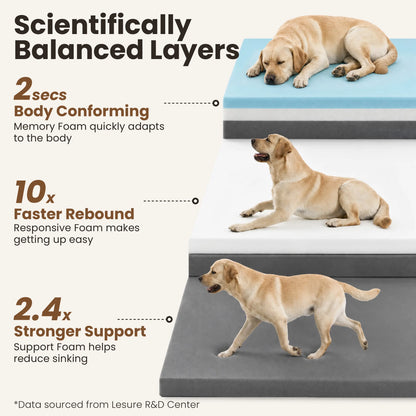 Orthopedic Memory Foam Bed for Large & Senior Dogs