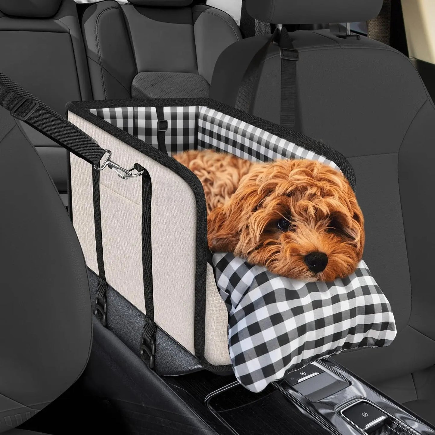 Tailsup Console Dog Car Seat for Small Dogs (Up to 11 Lbs) - Portable Armrest Booster Seat with Pumpkin Design, Sponge Soft Cushion, Anti-Collapse Plastic Frame, Safety Belt, 2 Cozy Bed Modes