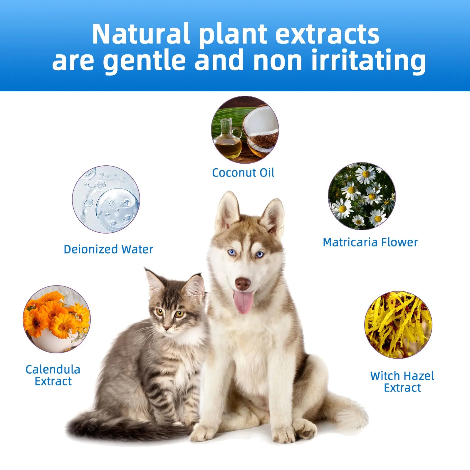 Gentle Ear Cleaner for Dogs & Cats