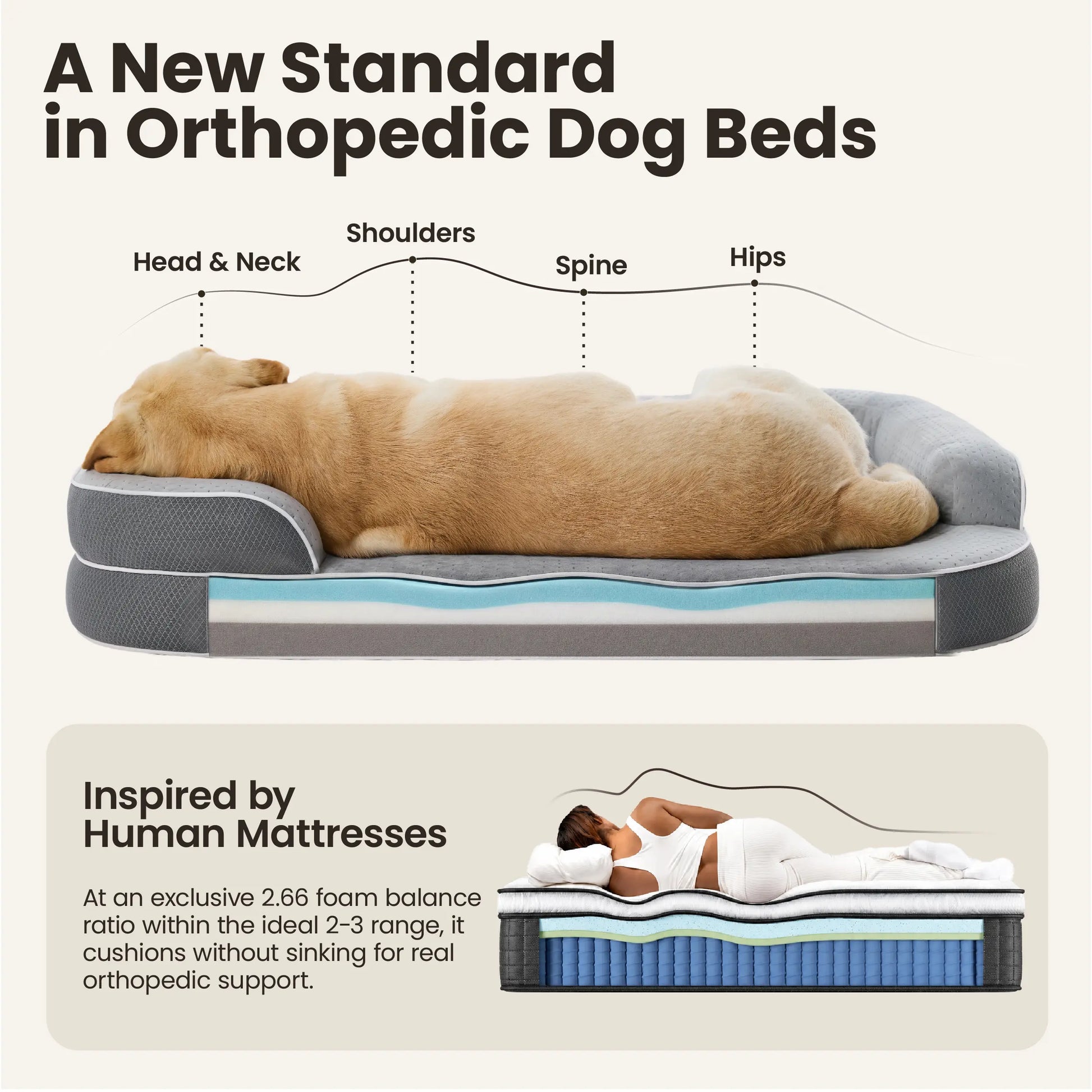 Orthopedic Memory Foam Bed for Large & Senior Dogs