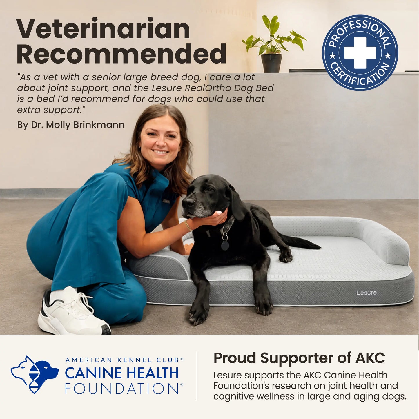 Orthopedic Memory Foam Bed for Large & Senior Dogs