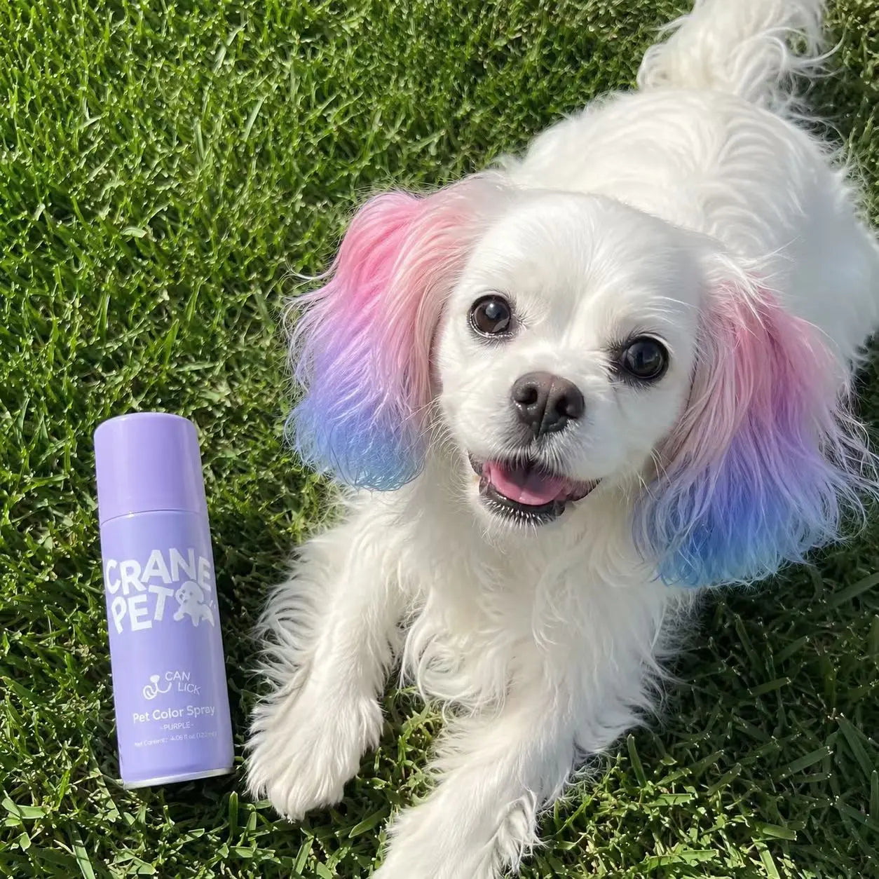 Washable Hair Color Spray for Dogs & Cats
