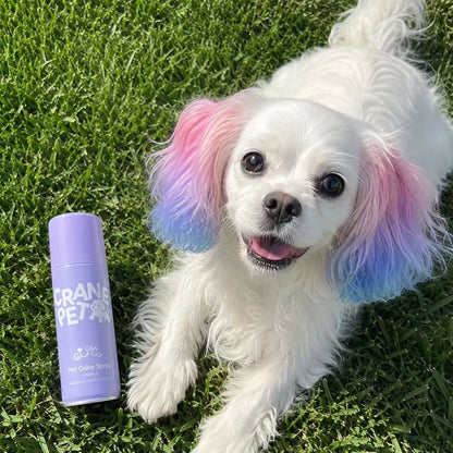 Washable Hair Color Spray for Dogs & Cats