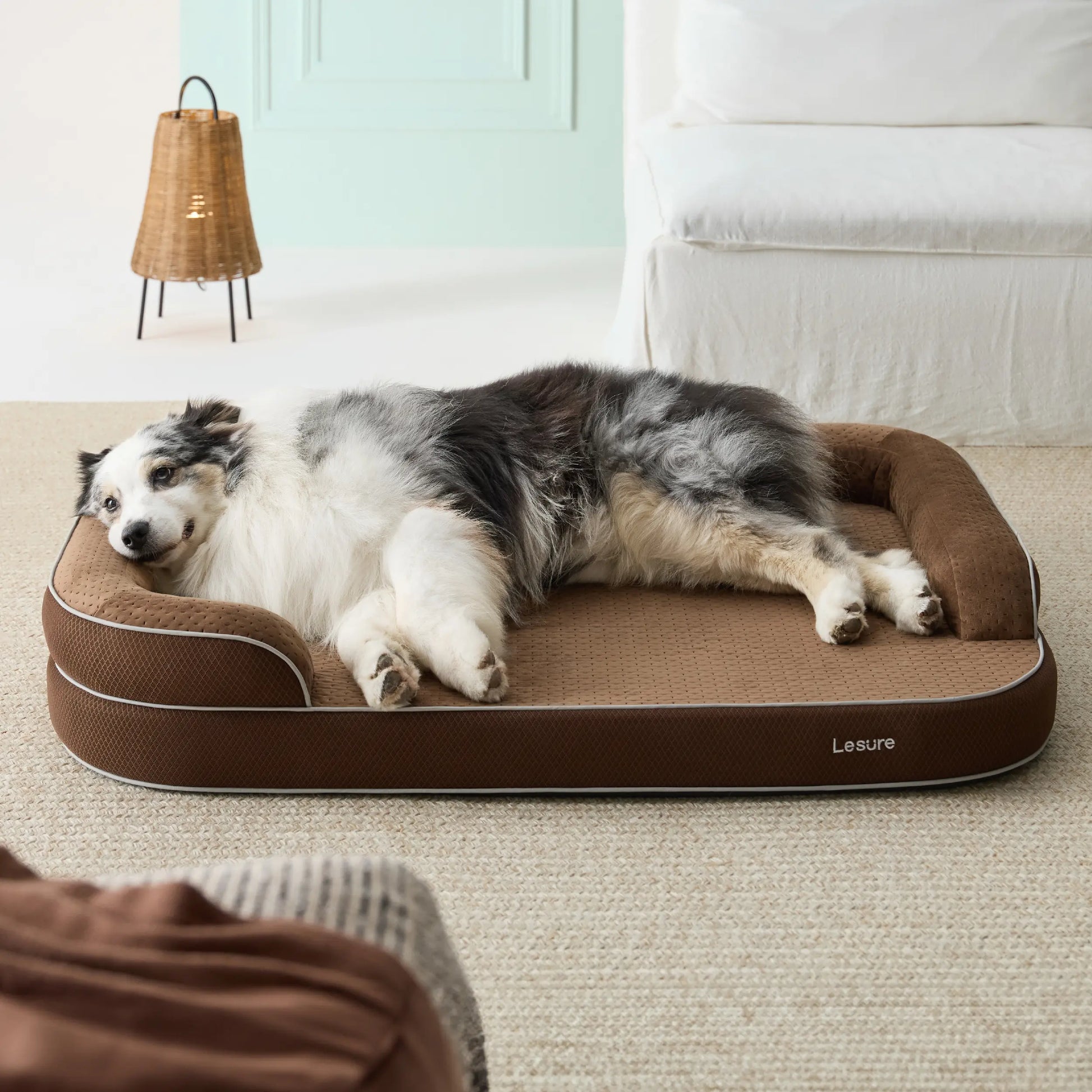 Orthopedic Memory Foam Bed for Large & Senior Dogs