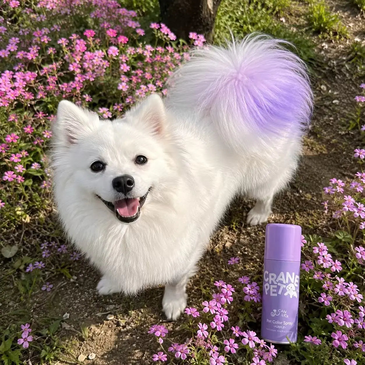 Washable Hair Color Spray for Dogs & Cats