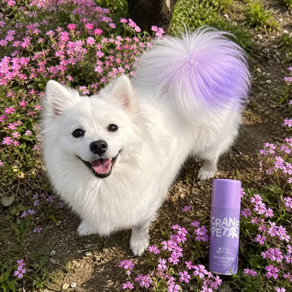 Washable Hair Color Spray for Dogs & Cats