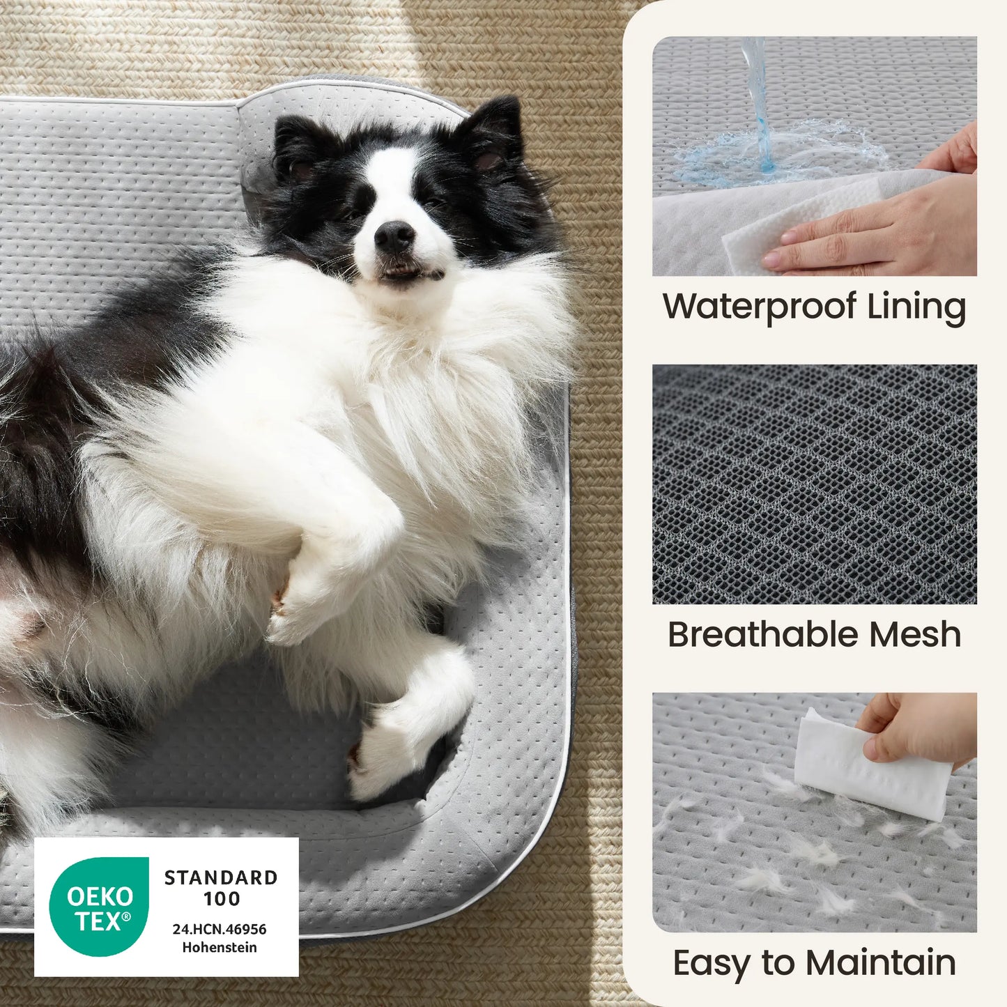Orthopedic Memory Foam Bed for Large & Senior Dogs