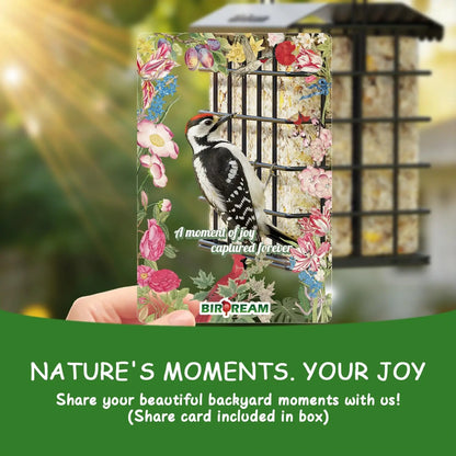 Birdream Premium All-Metal Double Suet Bird Feeder for Outdoor Use, Accommodates 2 Standard Suet Cakes, Effortless Refilling Tool for Attracting Woodpeckers and Chickadees