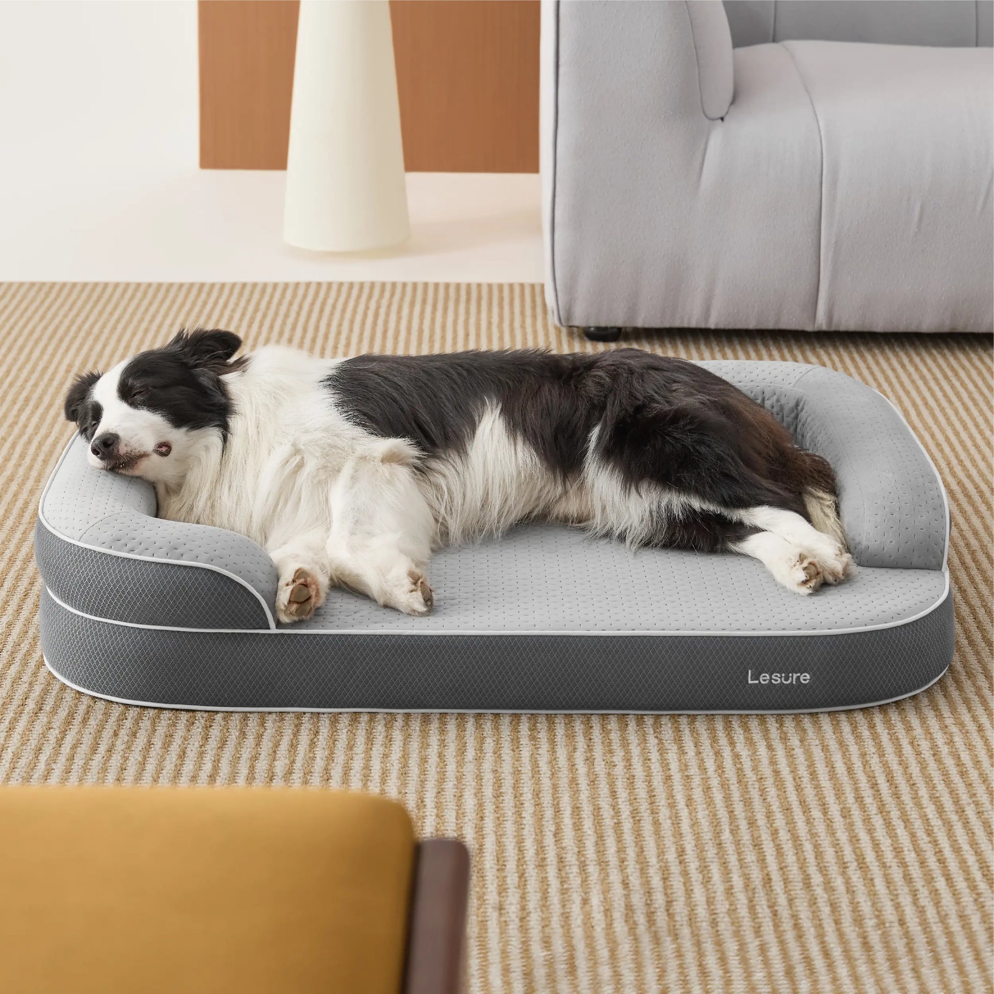 Orthopedic Memory Foam Bed for Large & Senior Dogs