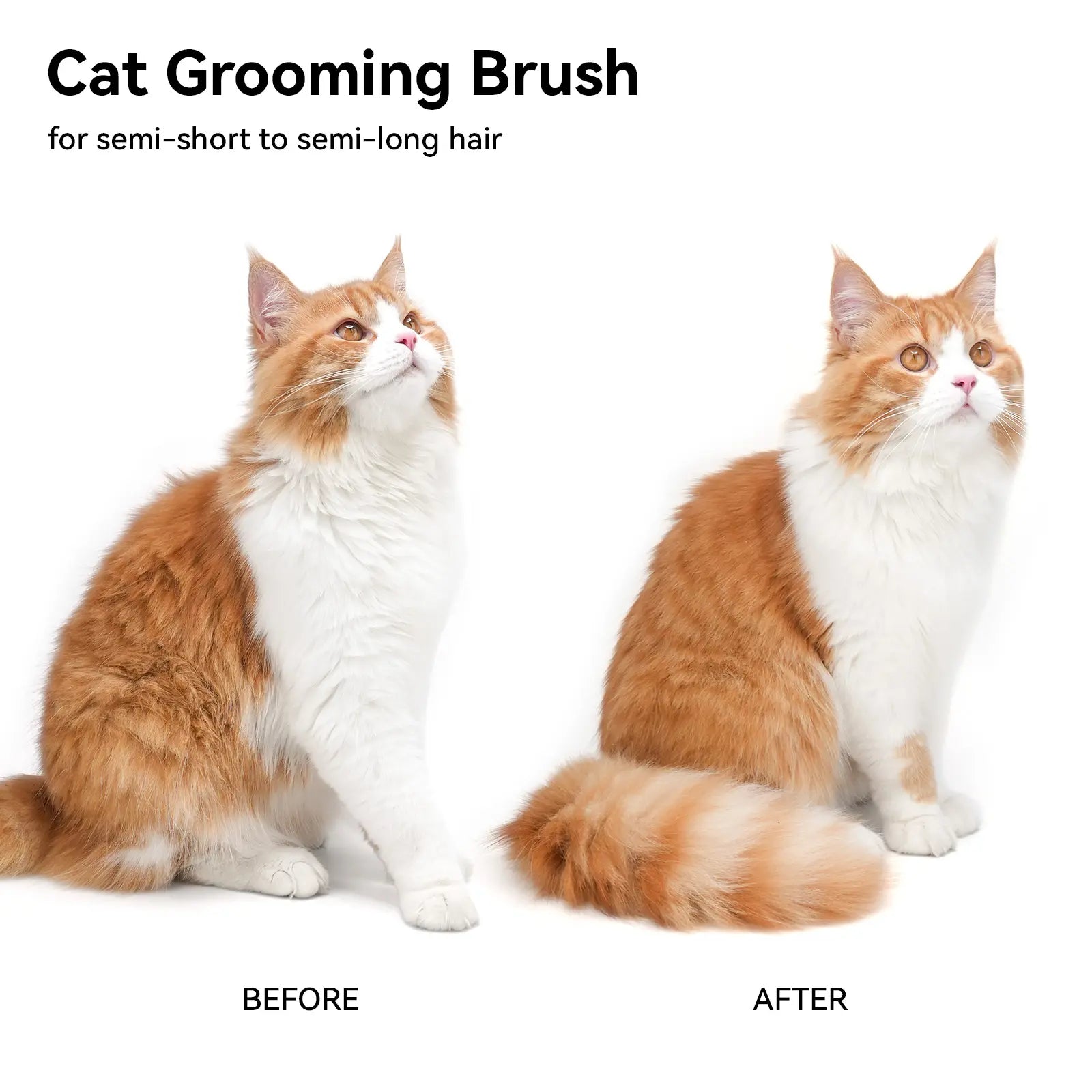 Deshedding & Massage Brush for Cats & Dogs