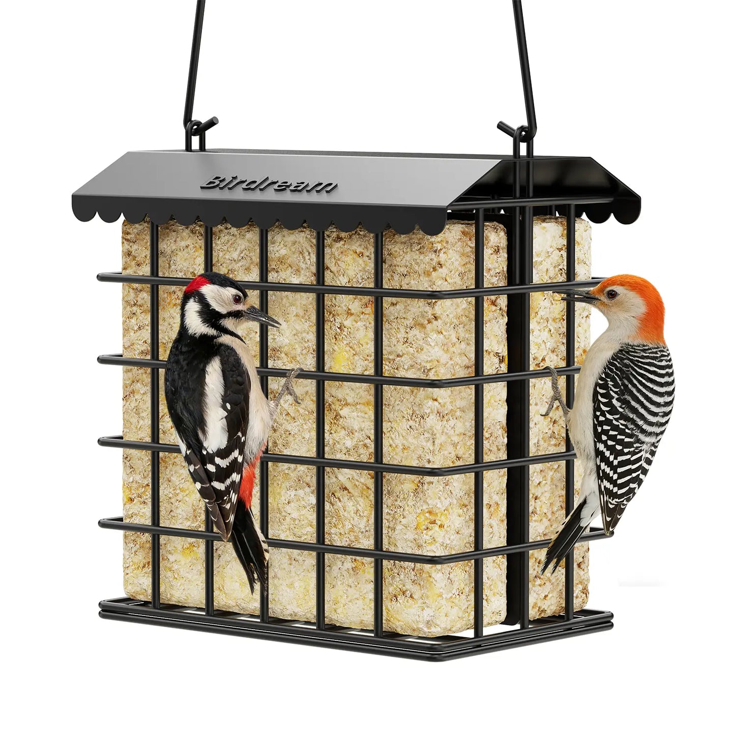 Birdream Premium All-Metal Double Suet Bird Feeder for Outdoor Use, Accommodates 2 Standard Suet Cakes, Effortless Refilling Tool for Attracting Woodpeckers and Chickadees