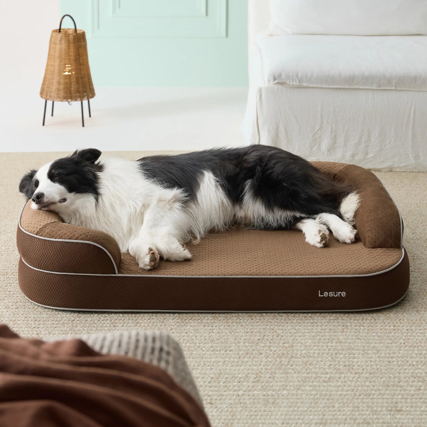 Orthopedic Memory Foam Bed for Large & Senior Dogs
