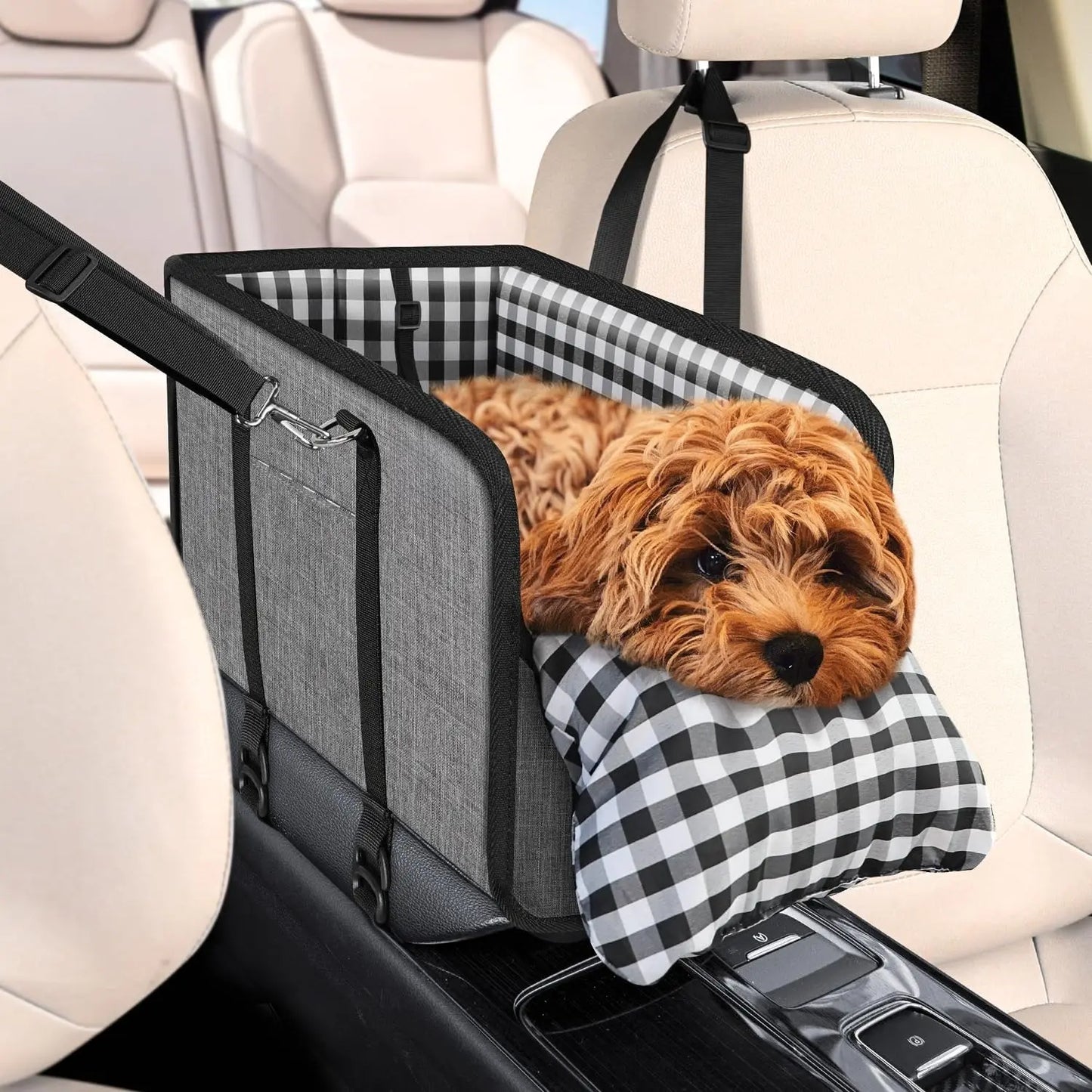 Tailsup Console Dog Car Seat for Small Dogs (Up to 11 Lbs) - Portable Armrest Booster Seat with Pumpkin Design, Sponge Soft Cushion, Anti-Collapse Plastic Frame, Safety Belt, 2 Cozy Bed Modes