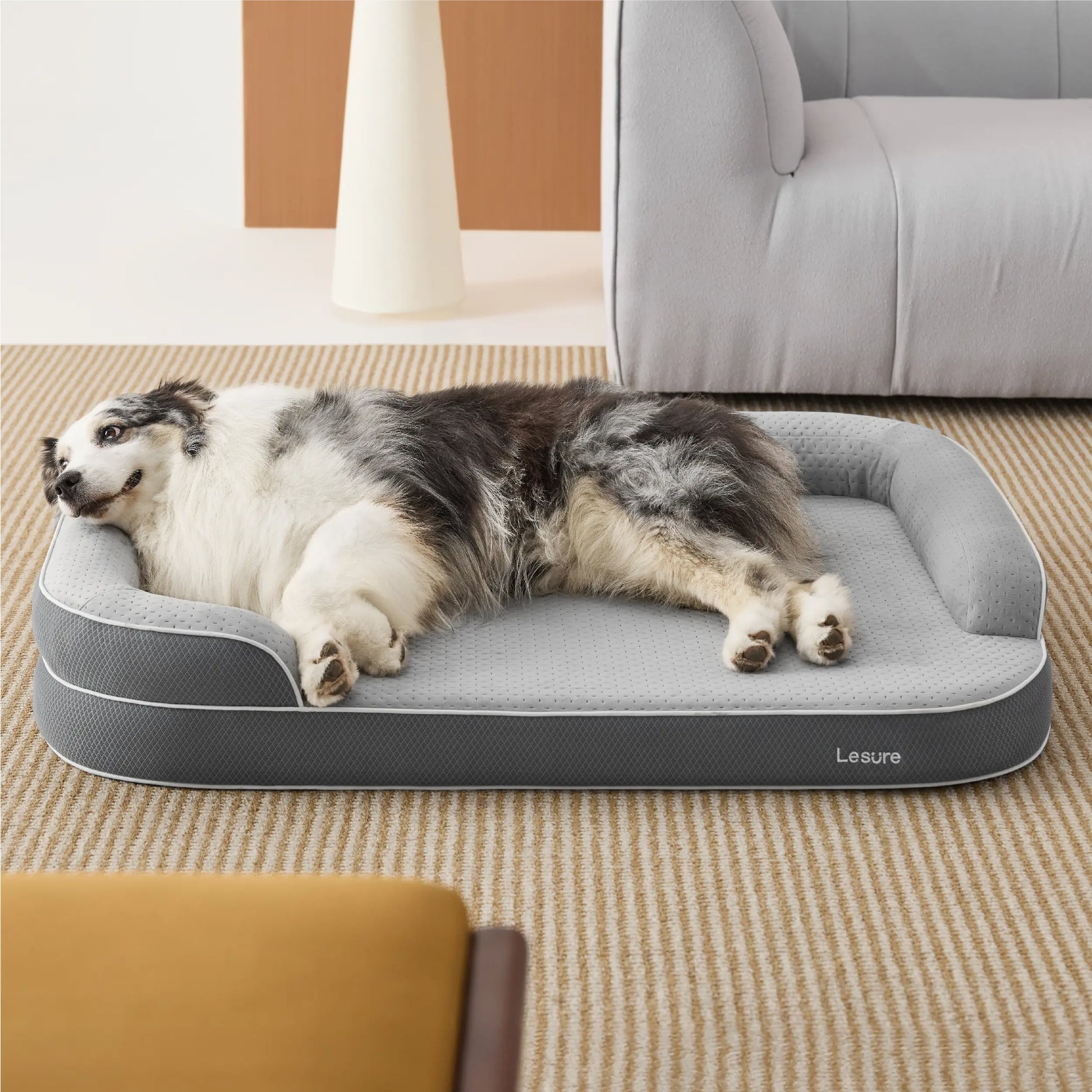 Orthopedic Memory Foam Bed for Large & Senior Dogs