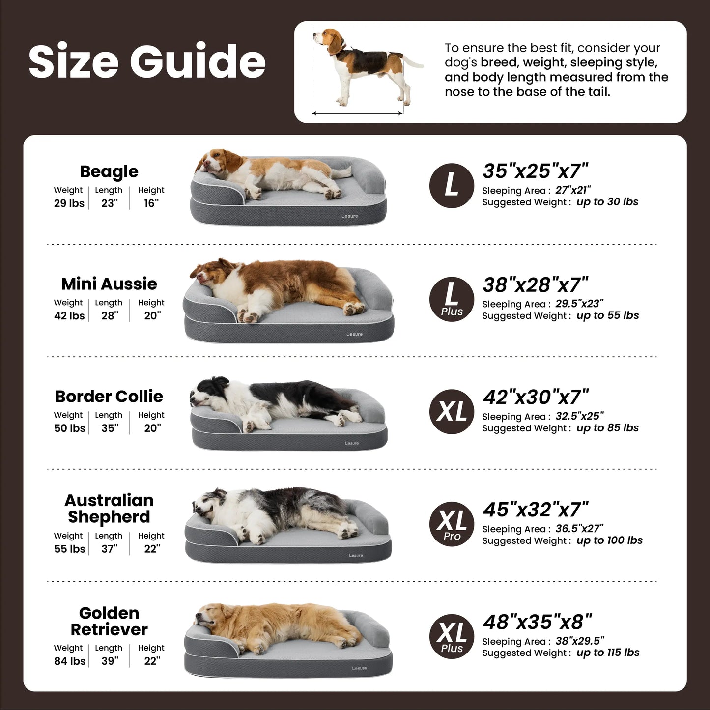 Orthopedic Memory Foam Bed for Large & Senior Dogs