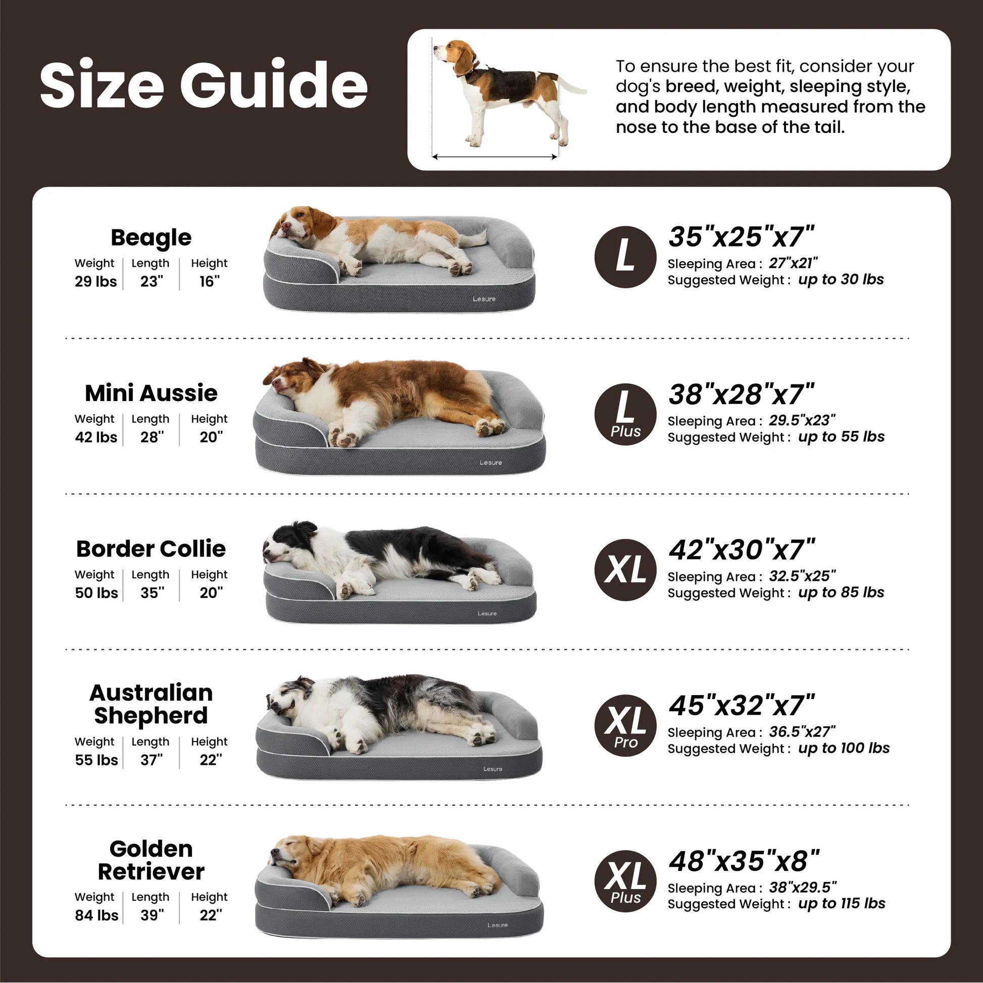 Orthopedic Memory Foam Bed for Large & Senior Dogs