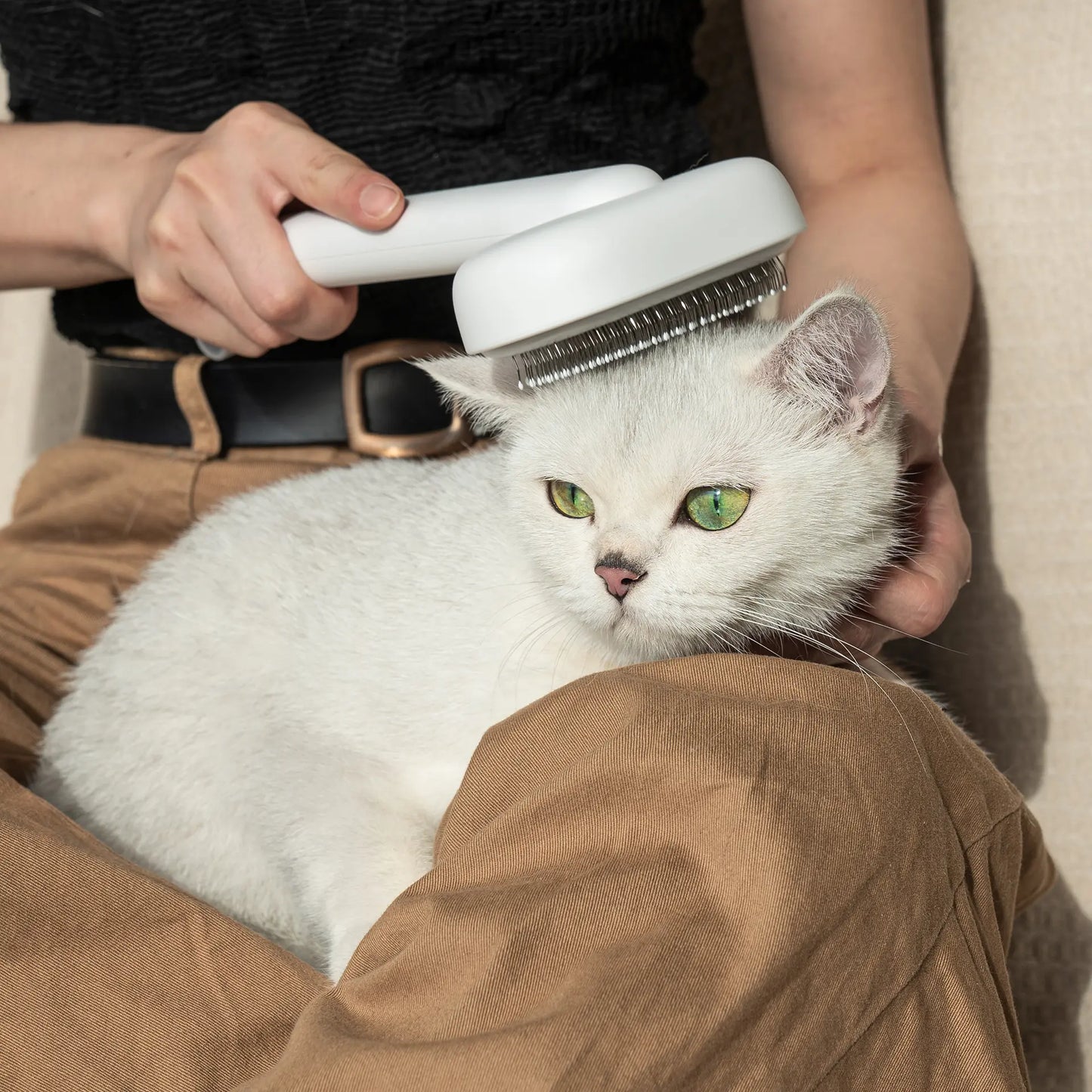 Deshedding & Massage Brush for Cats & Dogs