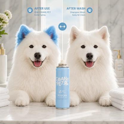 Washable Hair Color Spray for Dogs & Cats
